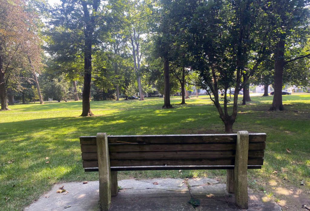 Empty park bench overlooking green space dotted with trees.