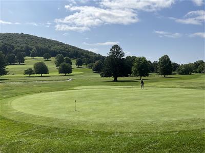 Golf course putting green with trees and a hill in the background
