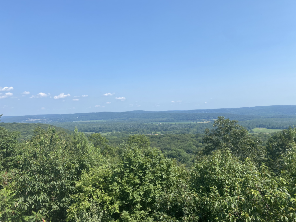 blue sky horizon view across tree tops to hills in the distance