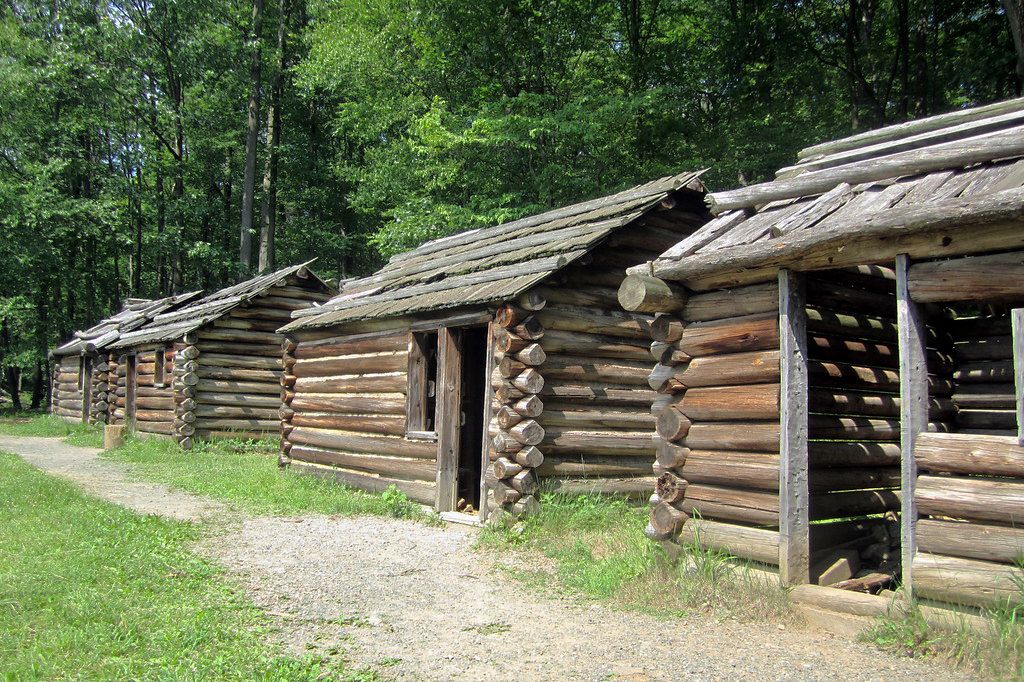 A series of four historic, one-room log cabins with a gravel path running in front and tree line behind.