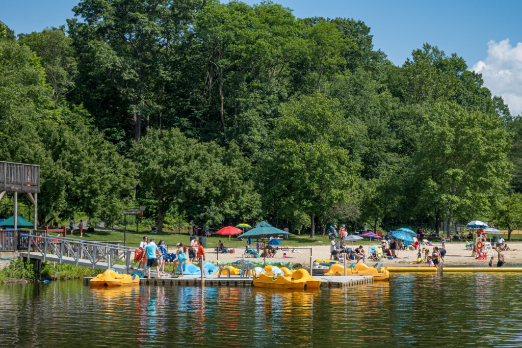 Paddle boats on the lake near the dock with people walking and relaxing on the shore of small beach