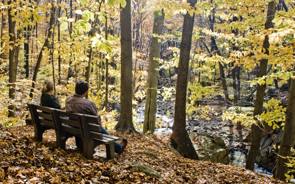 A man and women sit on a bench facing away from the camera to a stream in a wooded setting with yellow leaves on the trees and fallen leaves covering the ground