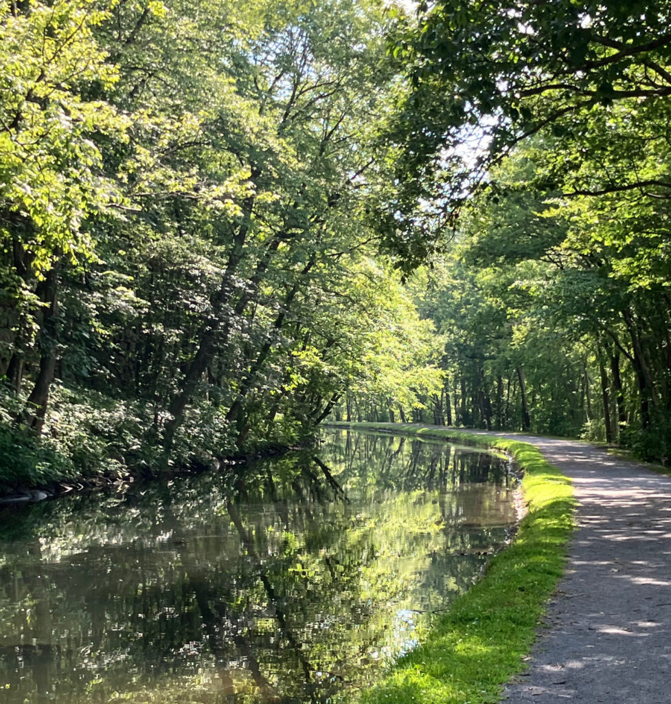 Wooded path beside a canal curving to the left. Dappled sunlight coming through the trees.