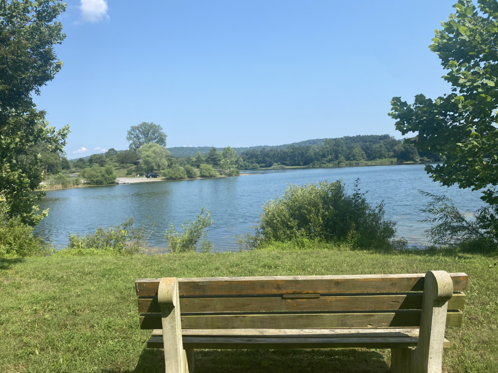 wooden park bench in front of a pond